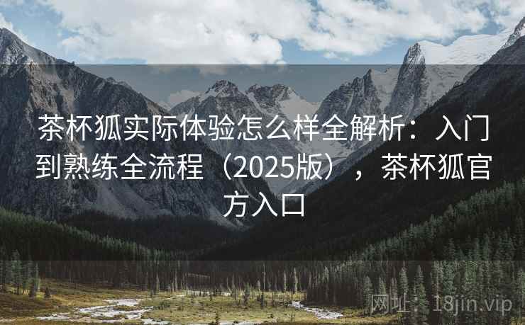茶杯狐实际体验怎么样全解析：入门到熟练全流程（2025版），茶杯狐官方入口