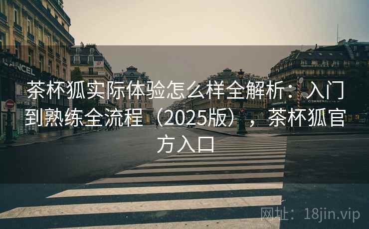 茶杯狐实际体验怎么样全解析：入门到熟练全流程（2025版），茶杯狐官方入口