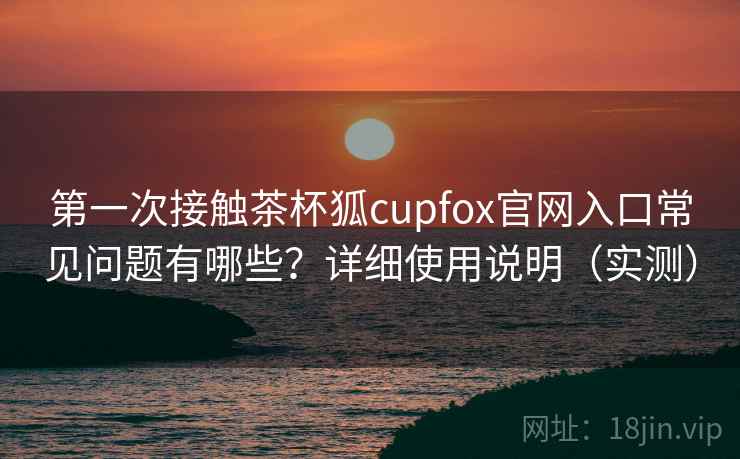 第一次接触茶杯狐cupfox官网入口常见问题有哪些？详细使用说明（实测）