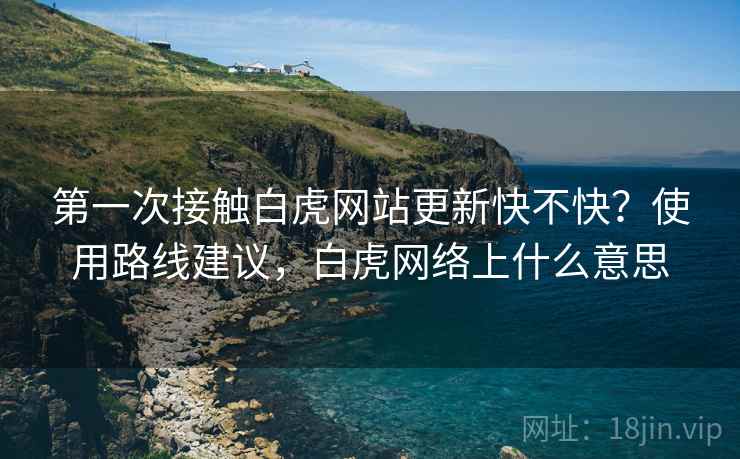 第一次接触白虎网站更新快不快？使用路线建议，白虎网络上什么意思