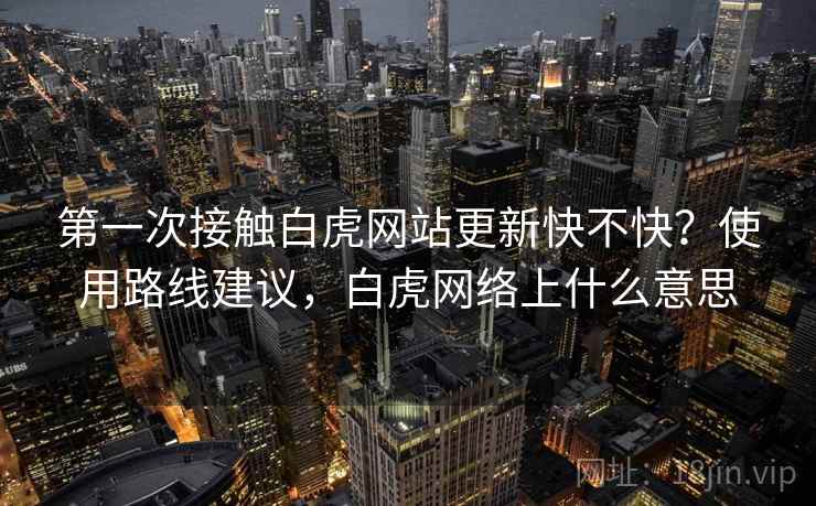 第一次接触白虎网站更新快不快？使用路线建议，白虎网络上什么意思
